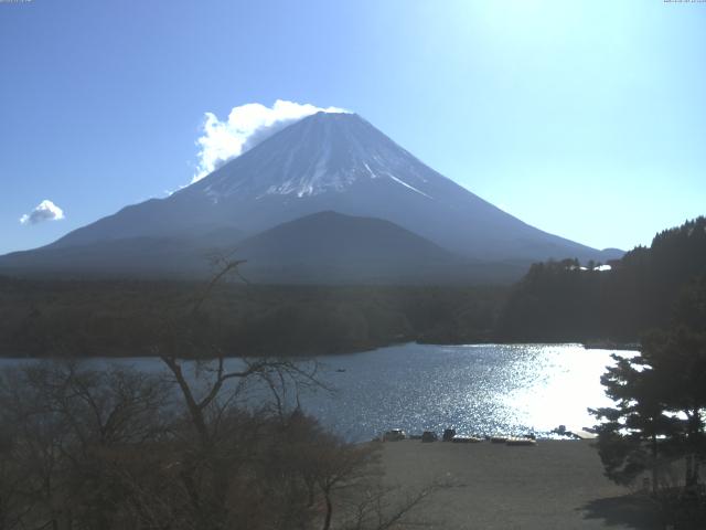 精進湖からの富士山