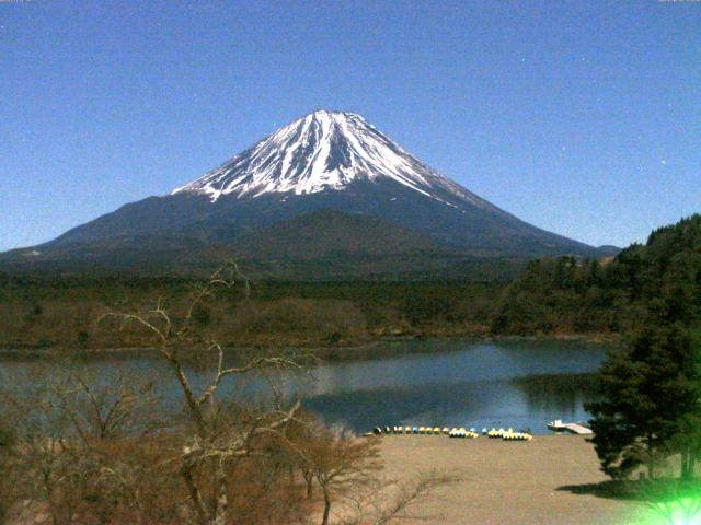 精進湖からの富士山