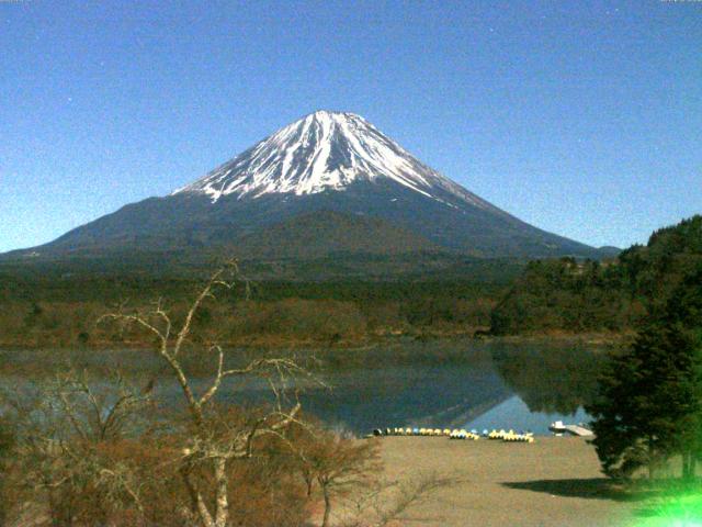 精進湖からの富士山
