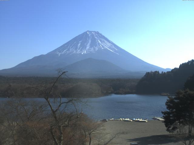 精進湖からの富士山