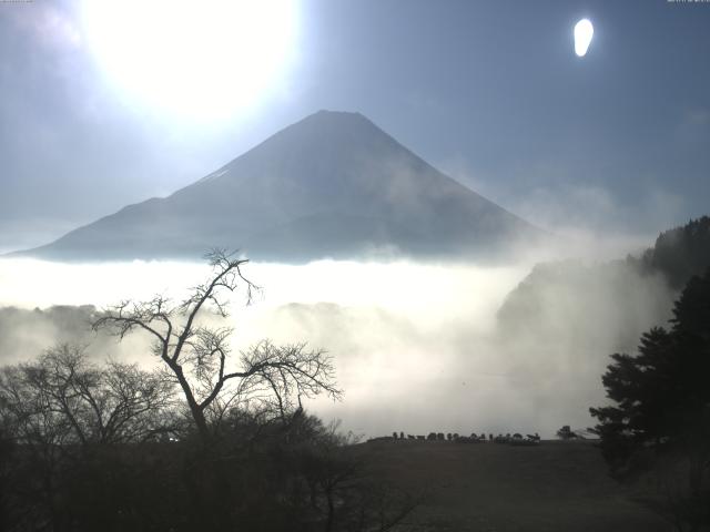 精進湖からの富士山