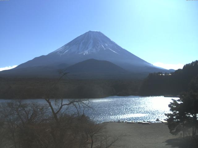 精進湖からの富士山