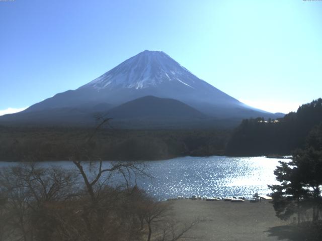 精進湖からの富士山
