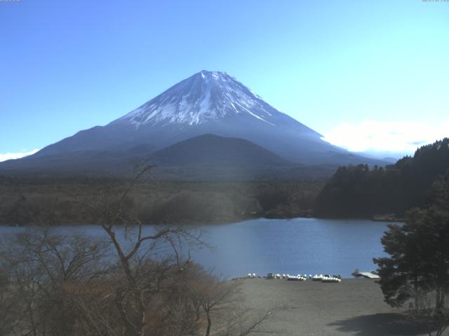 精進湖からの富士山