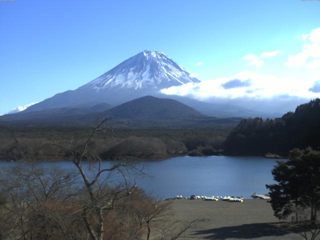 精進湖からの富士山