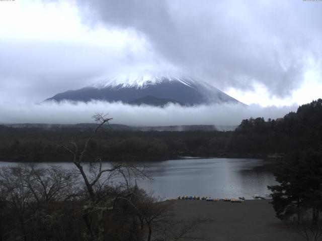 精進湖からの富士山