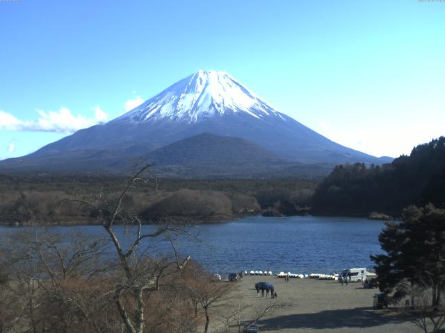 精進湖からの富士山