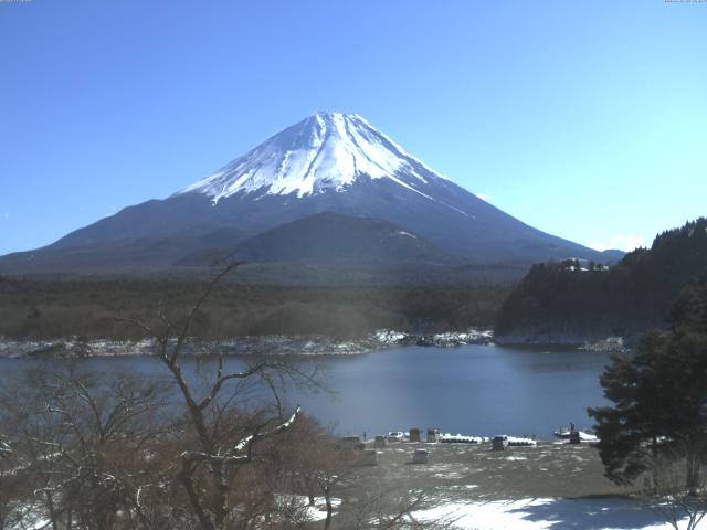 精進湖からの富士山
