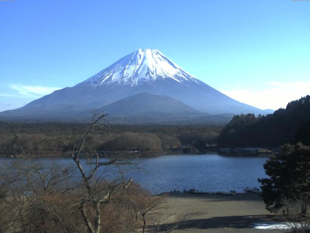 精進湖からの富士山