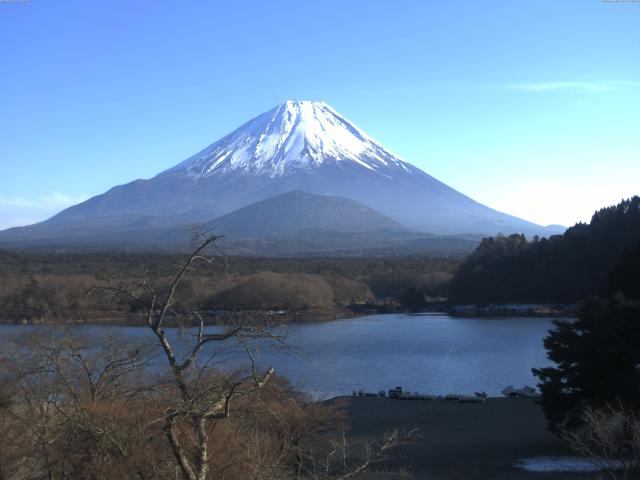 精進湖からの富士山
