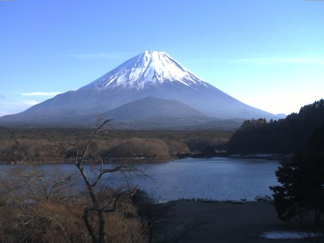精進湖からの富士山