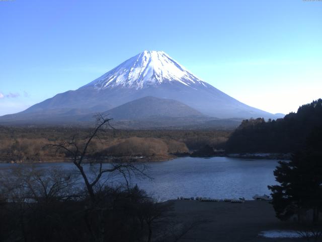 精進湖からの富士山