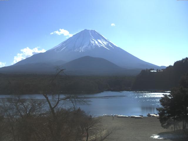 精進湖からの富士山