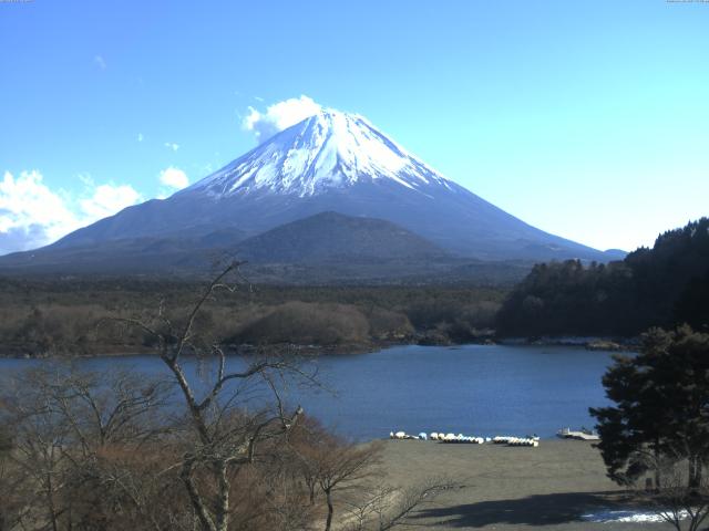 精進湖からの富士山