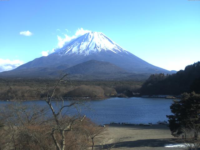 精進湖からの富士山