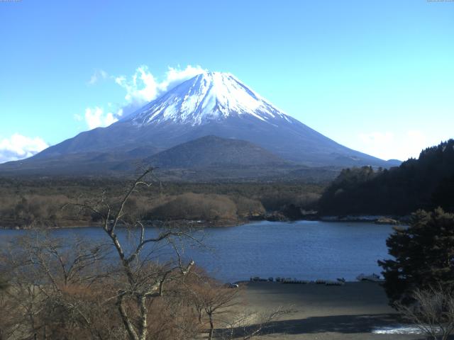 精進湖からの富士山