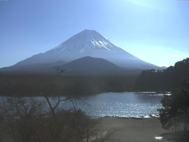 精進湖からの富士山