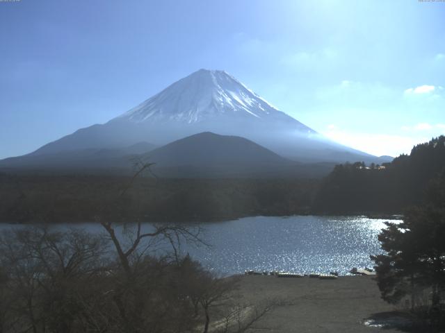 精進湖からの富士山