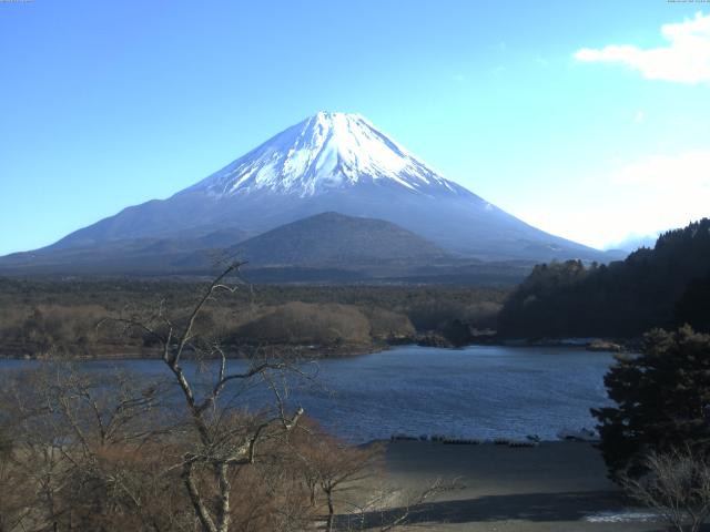 精進湖からの富士山