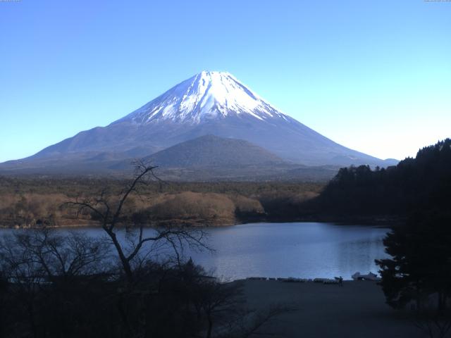 精進湖からの富士山
