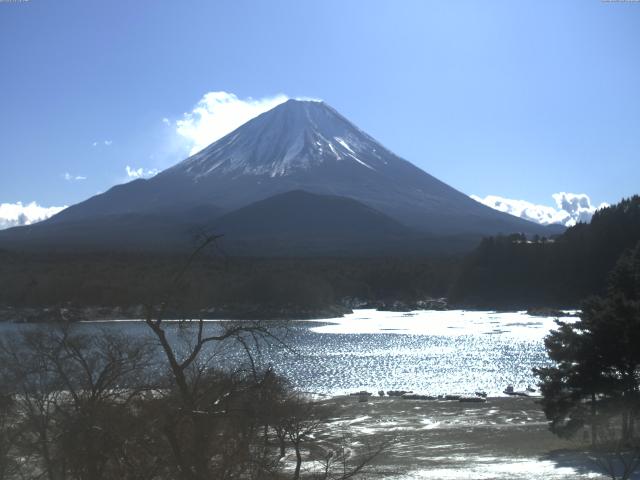 精進湖からの富士山