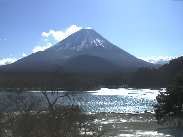 精進湖からの富士山