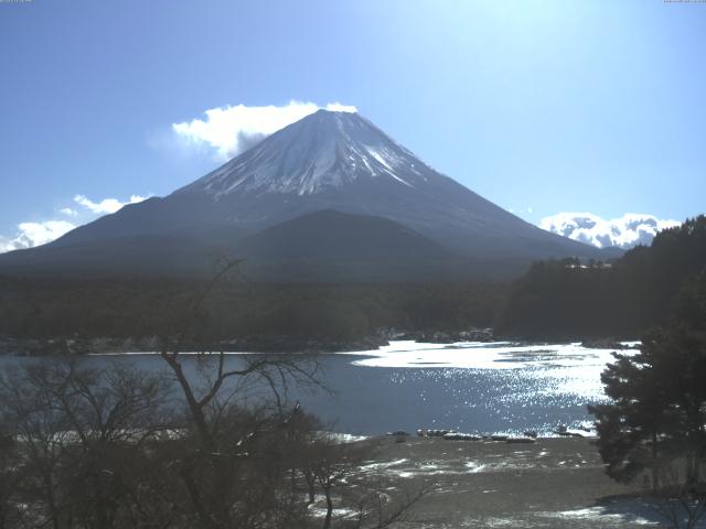 精進湖からの富士山