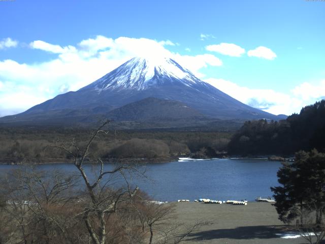 精進湖からの富士山