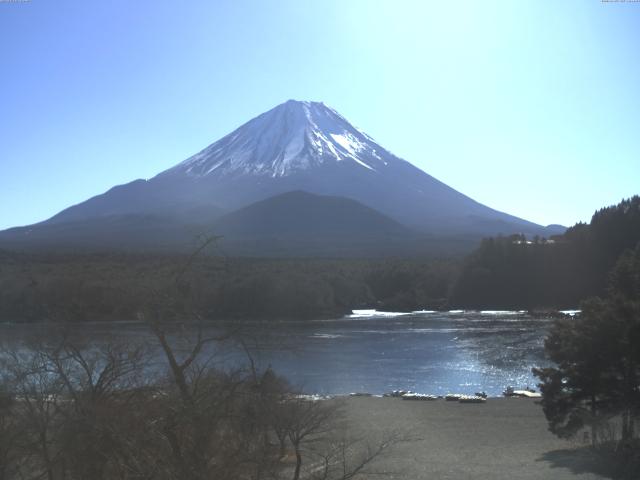 精進湖からの富士山