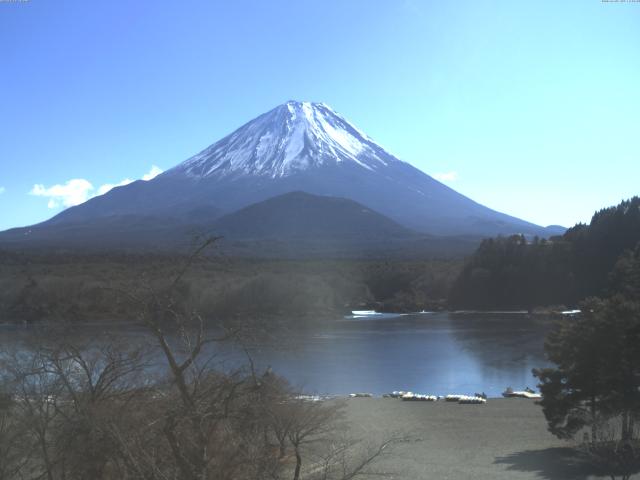 精進湖からの富士山