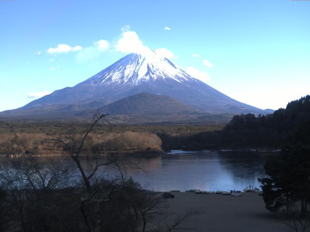 精進湖からの富士山