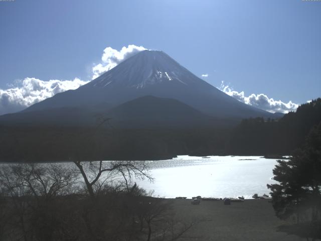 精進湖からの富士山