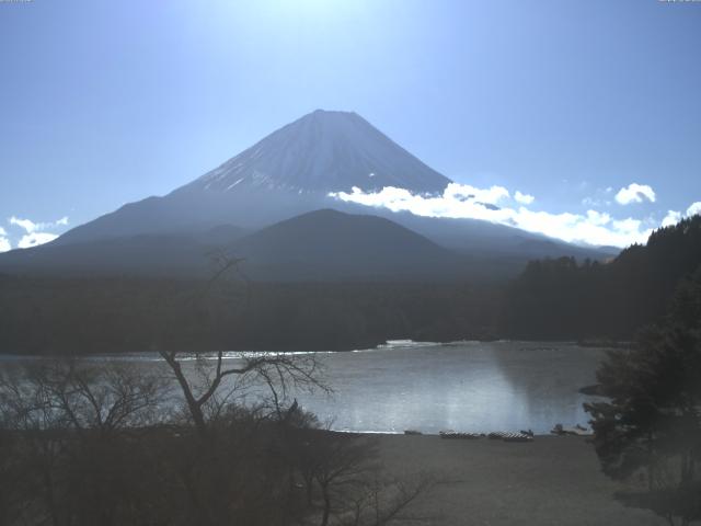 精進湖からの富士山