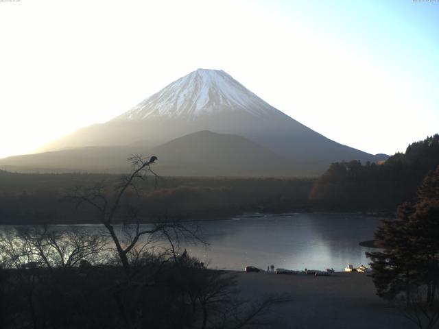 精進湖からの富士山