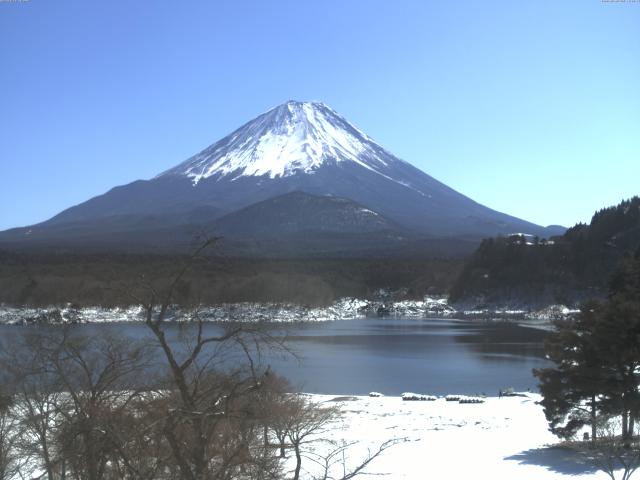 精進湖からの富士山