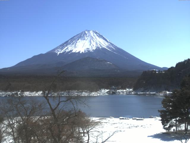 精進湖からの富士山