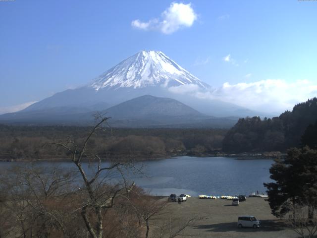 精進湖からの富士山