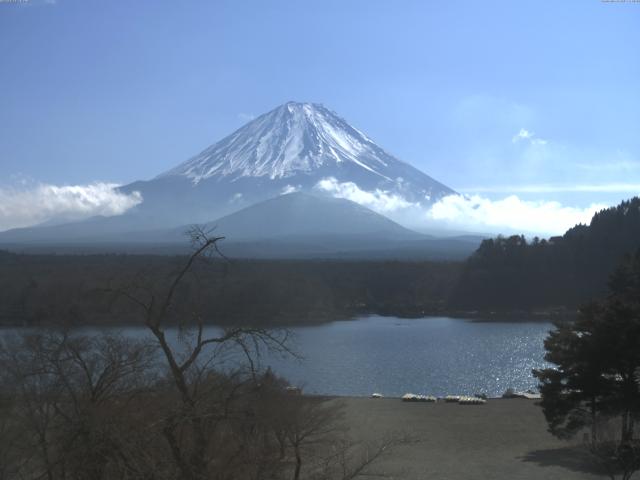 精進湖からの富士山