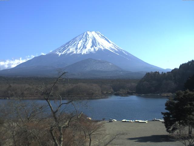 精進湖からの富士山