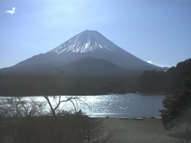 精進湖からの富士山