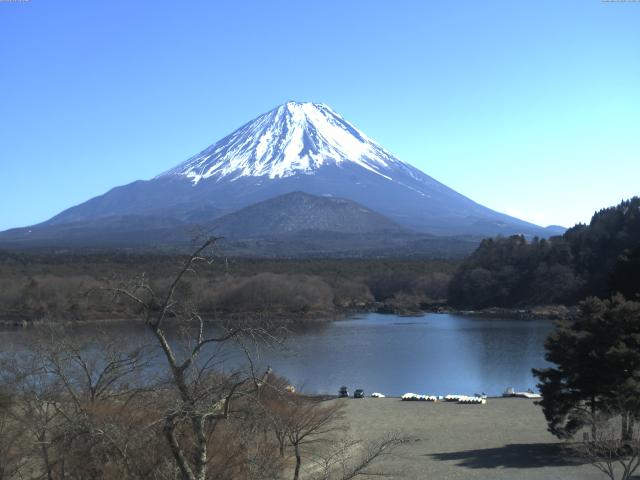 精進湖からの富士山