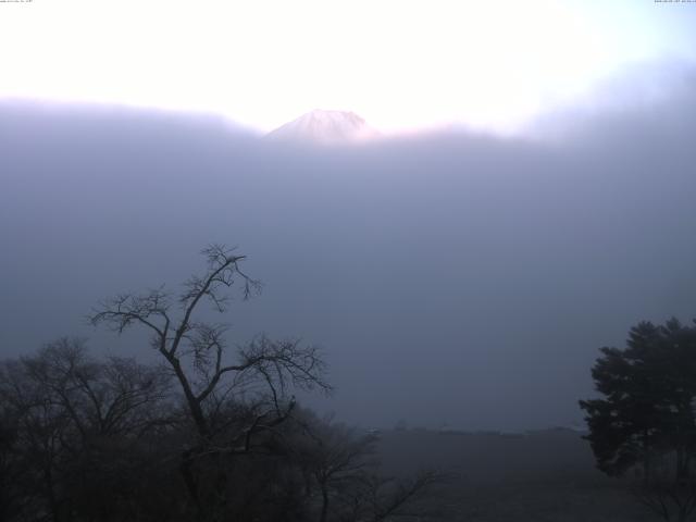 精進湖からの富士山