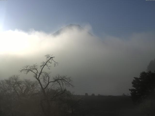 精進湖からの富士山
