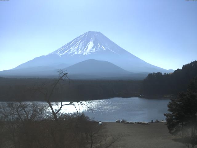 精進湖からの富士山
