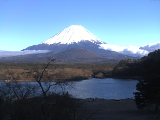 精進湖からの富士山