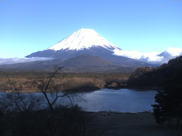 精進湖からの富士山