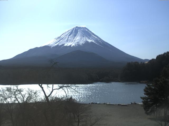 精進湖からの富士山