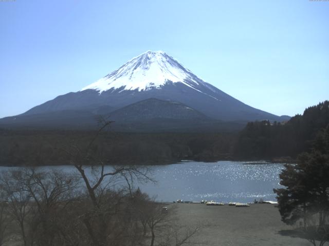 精進湖からの富士山