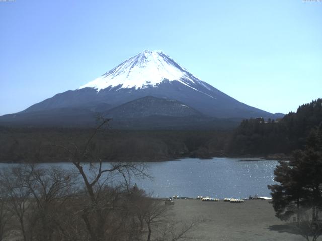 精進湖からの富士山