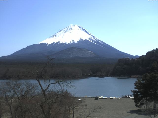 精進湖からの富士山